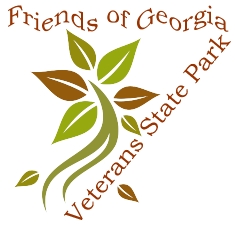 FGVSPLogo
